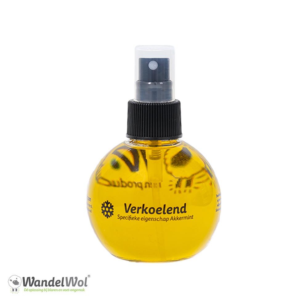 WANDELWOL WANDELOLIE AKKERMINT VERKOELEND