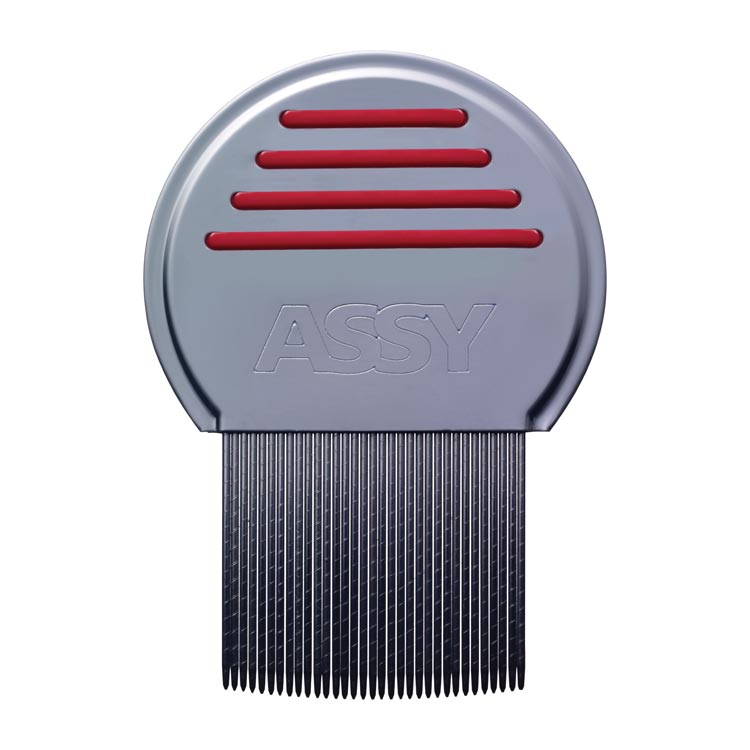 ASSY LUIZEN/NETENKAM